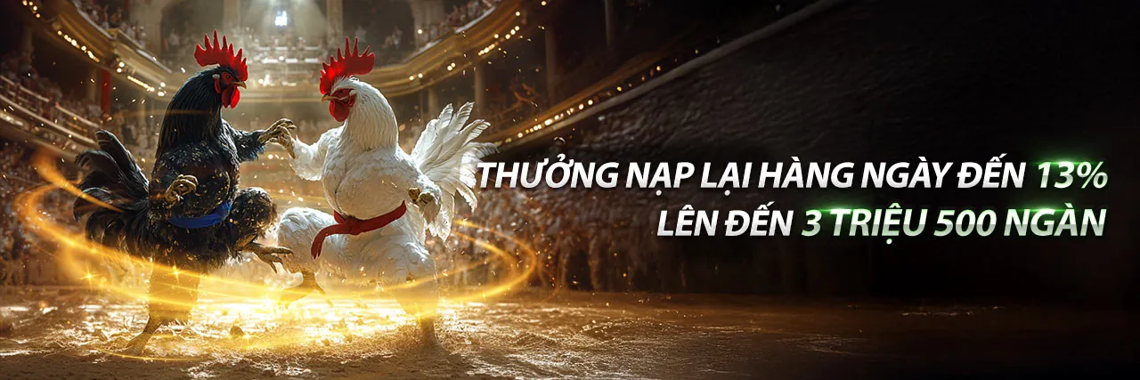 Đá gà trực tuyến U888 Hồ Chí Minh